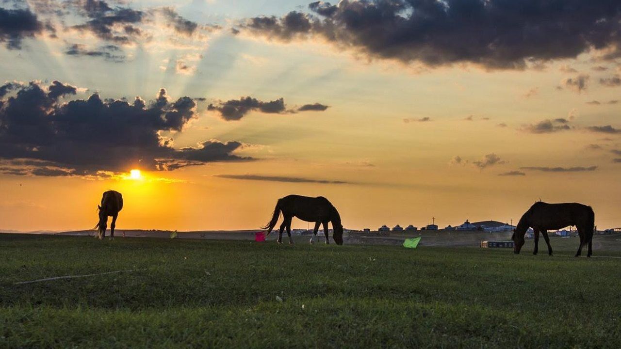 牧歌-国宴用曲,严晓藕编曲,解放军军乐团演奏,钢琴领奏:张莉莉,于建芳