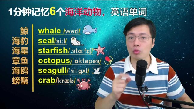 这些单词课本上少见,跟老师一分钟记忆6个海洋动物的英文名字