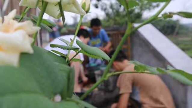 自贡名菜—仔姜田鸡,一道自贡人说起都要流口水的菜