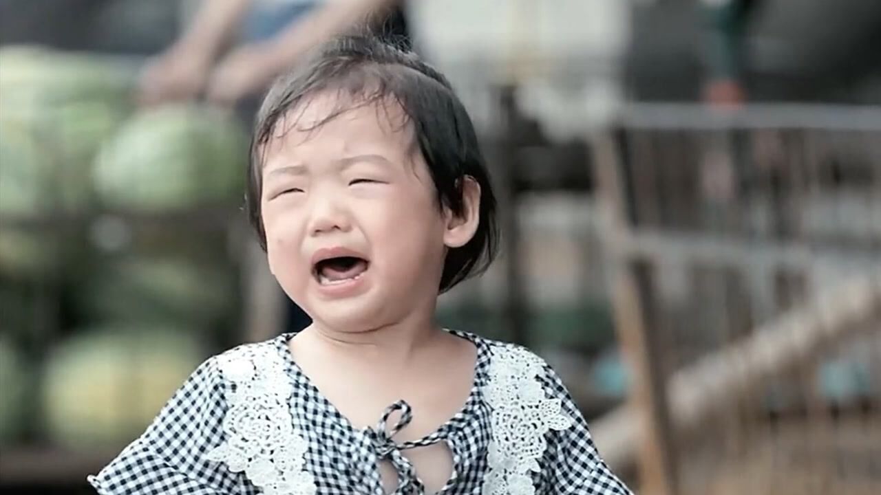 搜救犬叮当为了保护孩子被误会,结果遭到殴打这段太让人心疼了#忠犬