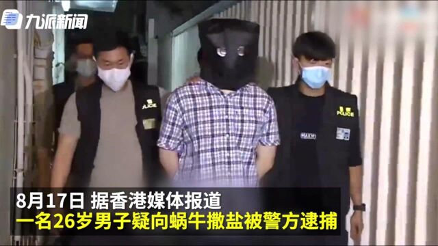 香港26岁男子因向蜗牛撒盐被逮捕,警方称:这是严重的罪行,最高可判处罚款20万及3年监禁.