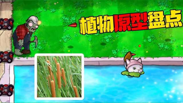 PVZ盘点:没想到可爱的香蒲,在现实中的经济价值这么高!