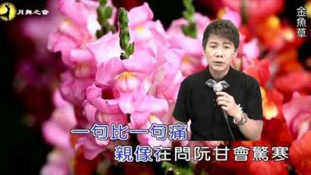 翻唱闽南歌曲 叫阮的名