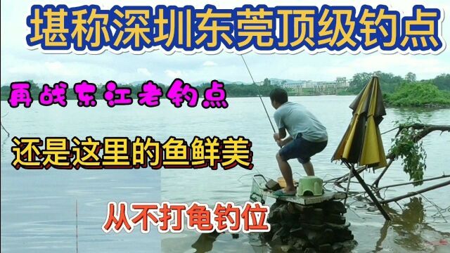 东江堪称深圳东莞顶级钓点、它有什么魔力让160公里来回钓友着迷?