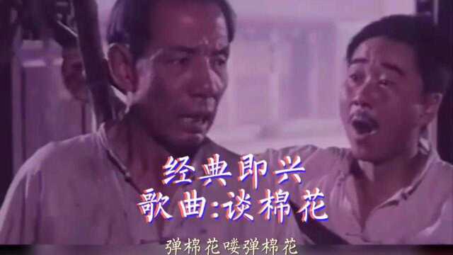 经典即兴歌曲:弹棉花