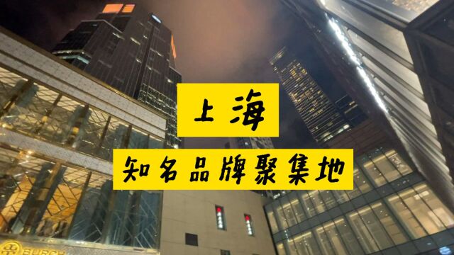 上海南京西路聚集着众多的国际知名品牌,是上海最高档购物场所之一