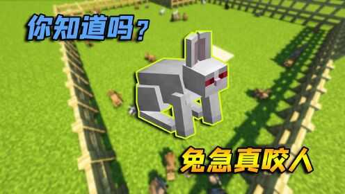 MC创造嘉年华_社长我的世界_我的世界:超可爱的兔子,竟能秒杀史蒂夫!太强了_高清1080P在线观看平台_腾讯视频