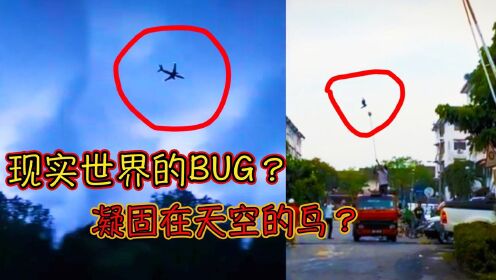 一群人目击到空中凝固的飞鸟，难道是世界存在的BUG？