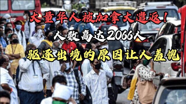 大量华人被加拿大遣返!人数高达2066人,驱逐出境的原因让人羞愧