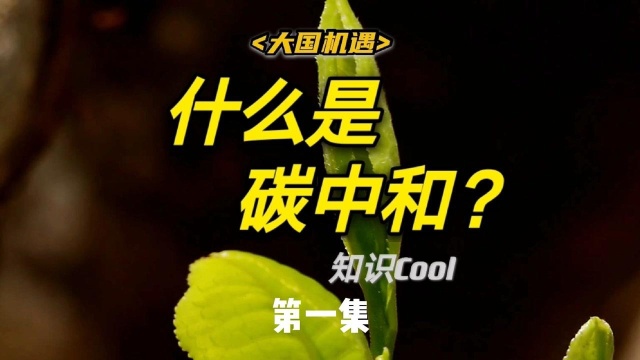 什么是碳中和?知识Cool告诉你,碳中和又能带来什么机遇.