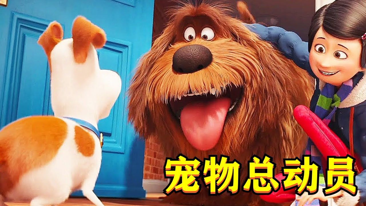 宠物总动员:温顺的狗子趁主人离家后,突然变得异常凶猛!