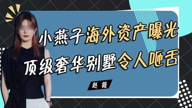 被封杀后, 赵薇“海外资产”全方位曝光,奢华程度令人瞠目结舌