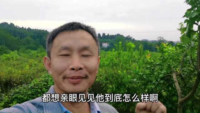 林近期工作照曝光,被很多人质疑,都想林出来面见大家