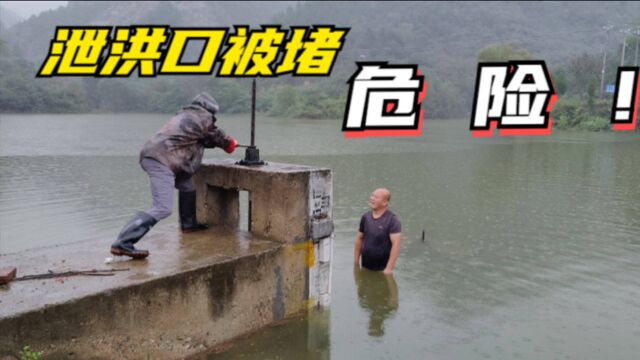 大雨冲下来的杂草,会把水库泄洪口堵成啥样?让村长冒险下水库