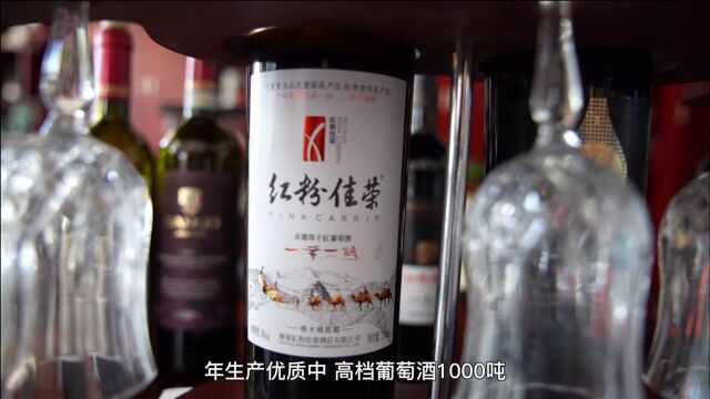 红粉佳荣酒庄#中国葡萄酒当惊世界殊