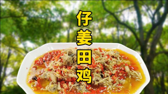 川菜《仔姜田鸡》,吃的就是鲜椒和仔姜味,开胃又下饭