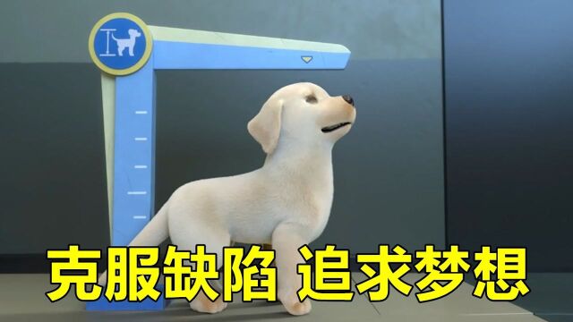 狗狗为了成为导盲犬,努力克服生理缺陷,不料在考核中失误了!#电影种草指南大赛#