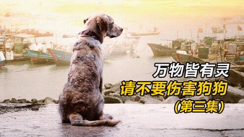 流浪狗勇斗恶犬救下小女孩，遭恶犬主人毒打，围观人群却无动于衷!#国庆好片不荐不散#