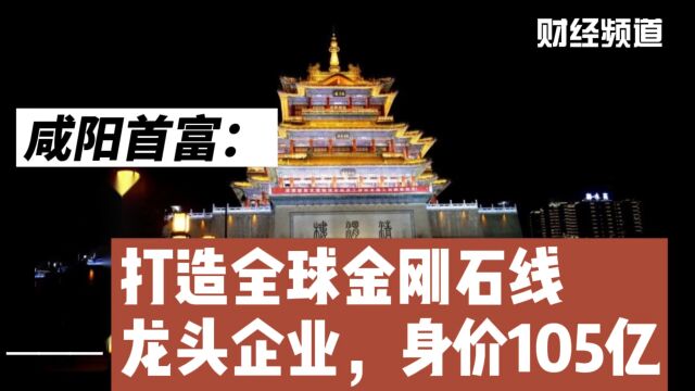 咸阳首富:打造全球金刚石线龙头企业,身价105亿