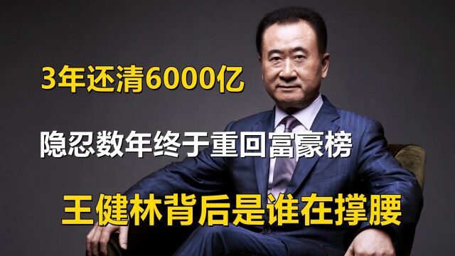 3年还清6000亿,隐忍数年终于重回富豪榜,王健林背后是谁在撑腰