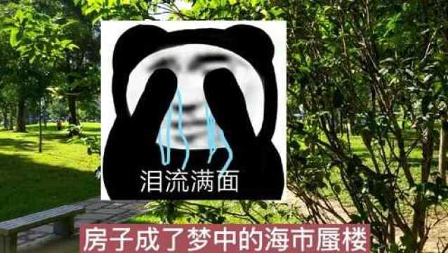 傻瓜才买房,跟对老板走错路,深圳30年的苦行者