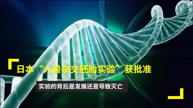 日本“人兽杂交胚胎实验”获批准,实验的背后是发展还是导致灭亡