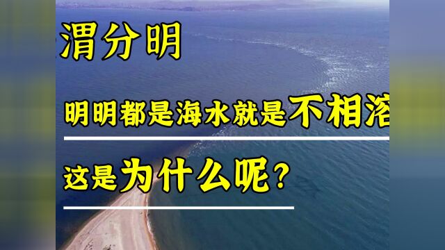 明明都是海水,为什么黄海和渤海不交融?大自然太神奇了!