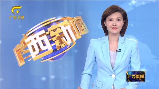 广西:出实招求突破 全面推进“放管服”改革