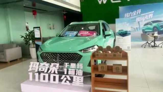 新一代智能混动SUV—玛奇朵正式上市