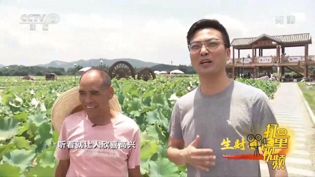 大哥的农家乐生意火爆,加上民宿,一年收入120多万