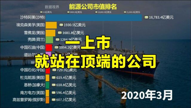 上市就站到顶端的公司,能源公司市值动态排名