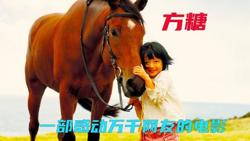 一匹价值千万的马，却拥有了人类的情感，高分催泪电影《方糖》