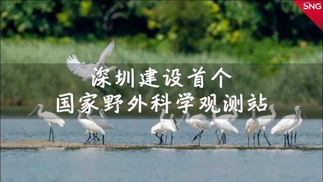 深圳获批建设首个国家野外科学观测研究站