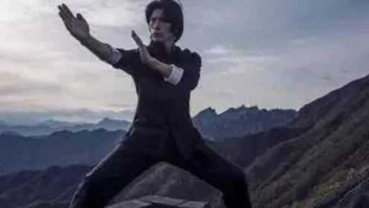 咏春拳的动作要领:推、插、打等,是近身搏斗要领_高清1080P在线观看平台_腾讯视频