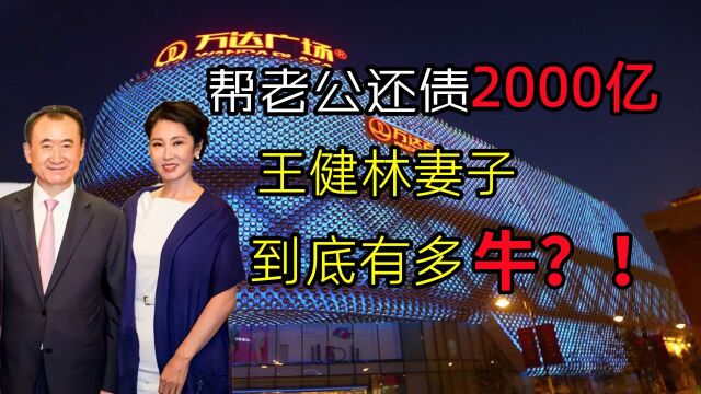 王健林背后的神秘女人,助万达起死回生!2年帮他还债2千亿