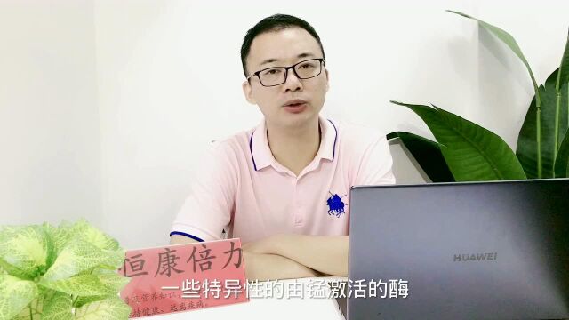 锰在体内的生化作用,是作为金属酶的组成成分和酶的激活酶#健康与营养@恒康倍力