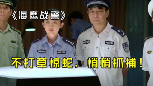 海鹰战警：中国海军悄悄进行搜查，找出证据，立即出发！