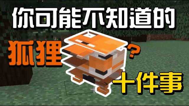 你可能不知道的狐狸10件事!!!【秋风麦块生物学】