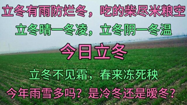 今年气候反常,会成为最冷的一个冬天吗?看立冬天气变化就能知道