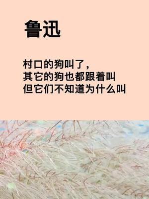 鲁迅村口的狗叫了其它的狗也都跟着叫但它们不知道为什么叫