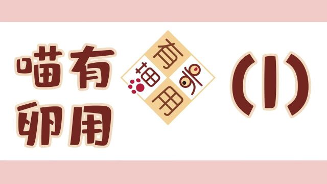 喵有卵用|猫咪蛋蛋们的日常啦