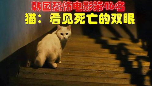  解说韩国悬疑电影排行榜46名猫看见死亡的双眼，养猫后的恐怖遭遇