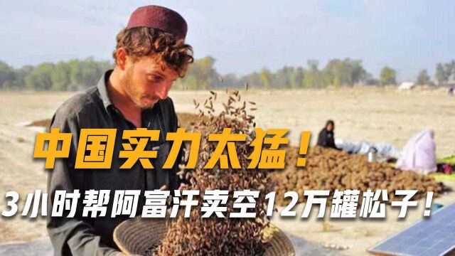 12万罐松子3小时售罄!外媒直呼不可思议:中国实力远不止这些