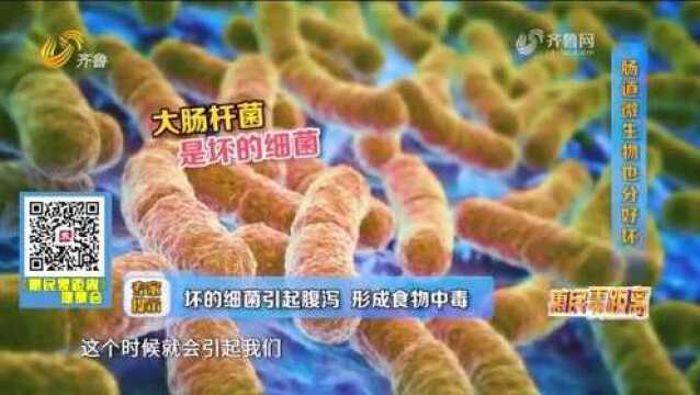 肠道微生物也分好坏,益生菌可以促进胃肠消化,调节胃肠功能