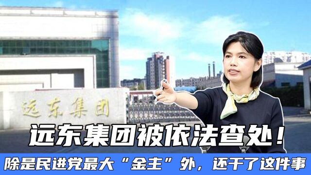 远东集团被依法查处!除是民进党最大“金主”外,还干了这件事