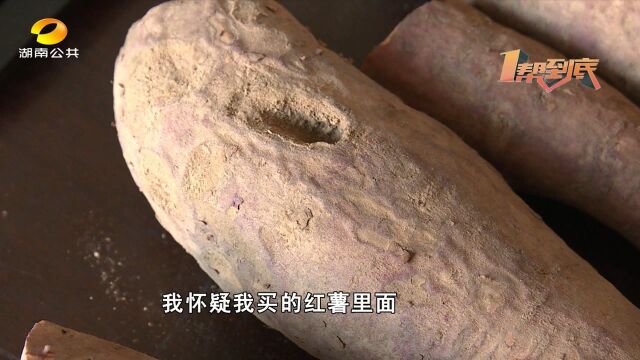 网购红薯得了黑斑病?专家:正常现象不影响食用