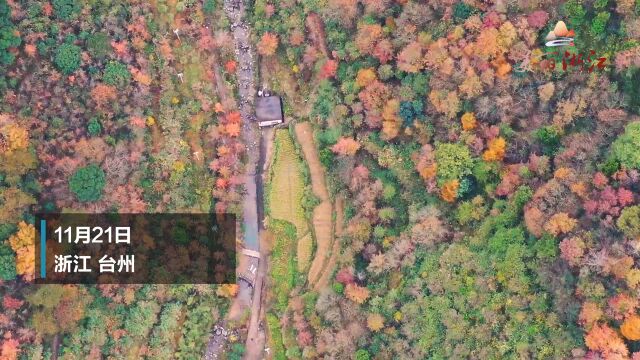 九曲十折的古道,漫山遍野的枫叶!快来欣赏南黄古道的美景!