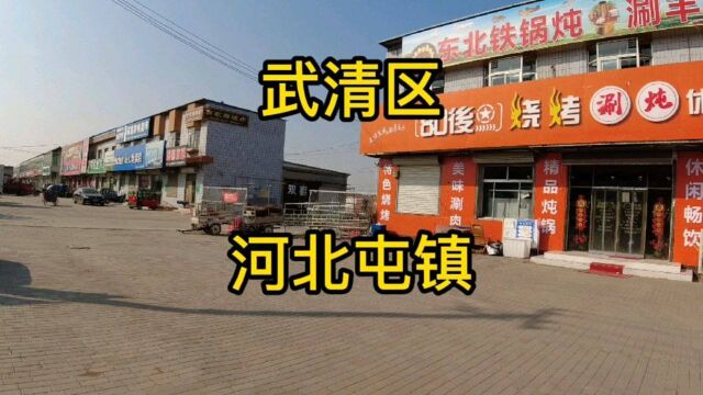 天津市武清区第《29》个视频,河北屯镇实地考察