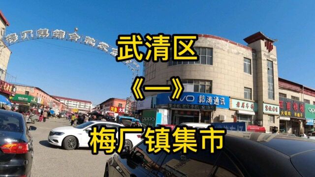 天津市武清区第《33》个视频,梅厂镇集市