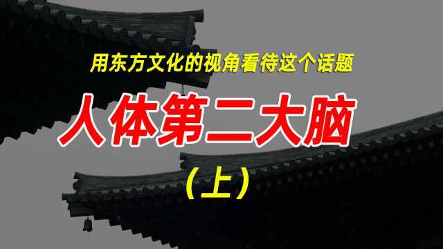 人体第二大脑,用东方文化的角度看待这个话题(上)